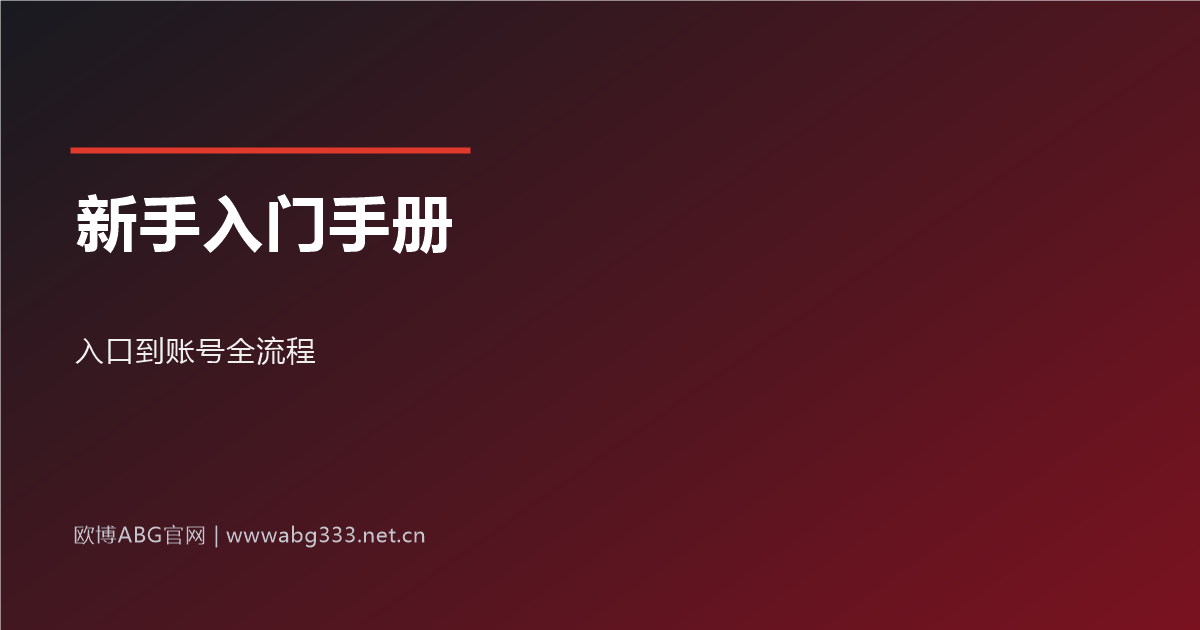 新手入门全流程示意图